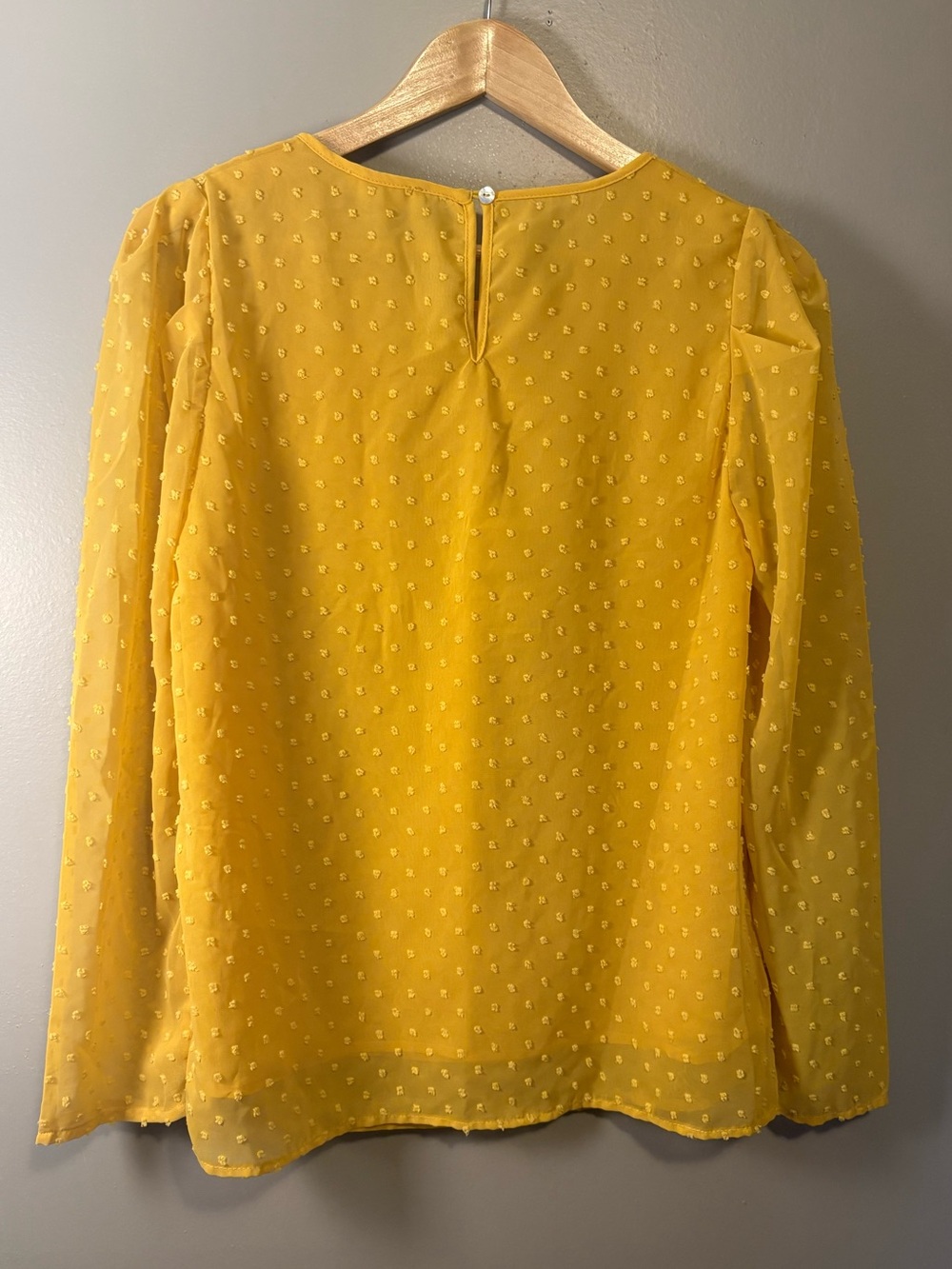 Entro Swiss Dot Long Sleeve Blouse - Picture 3 of 6